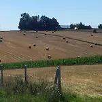 Willa Panorama Racławicka Basen *