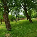 Panorama Raclawicka Basen