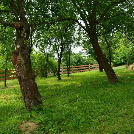 Panorama Raclawicka Basen